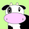 cows it going?